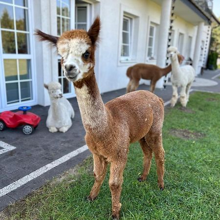 Apartamenty Gora Wejherowo Bagian luar foto